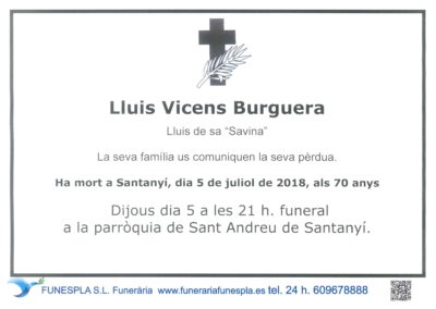 Lluis Vicens Burguera   05/07/2018