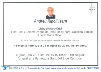 Andreu Ripoll Isern   21/08/2018