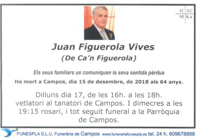 Juan Figuerola Vives  15/12/2018