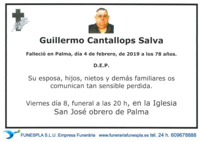 Guillermo Cantallops Salva  04/02/2019