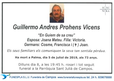 Guillermo Andres Prohens Vicens  05/07/2019