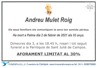 Andreu Mulet Roig 02/02/2021